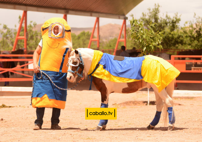 Disfraz de Caballo para Desfiles Disfraces para Equinos de Cualquier Talla  -  México