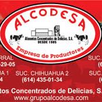 banner-alcodesa-385