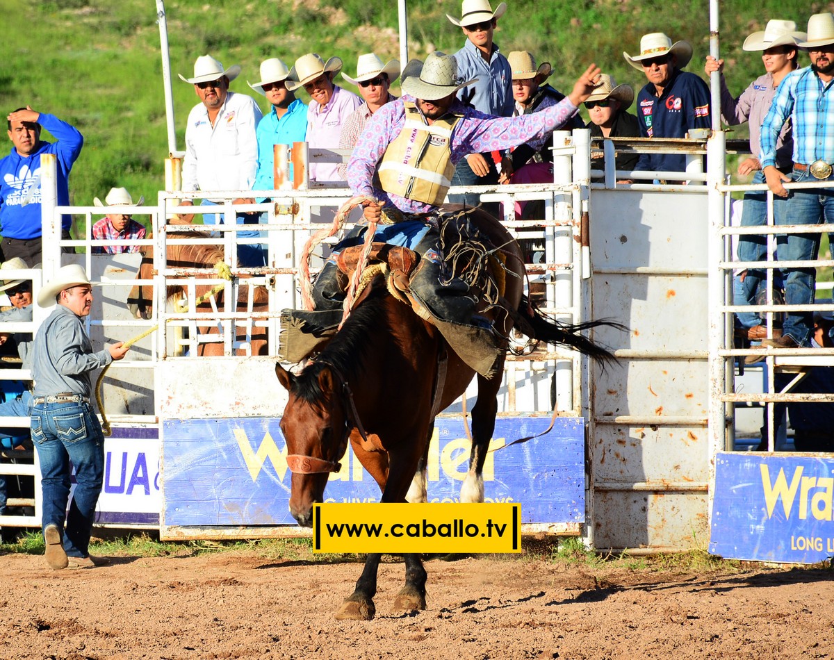 DSC_3395 copy