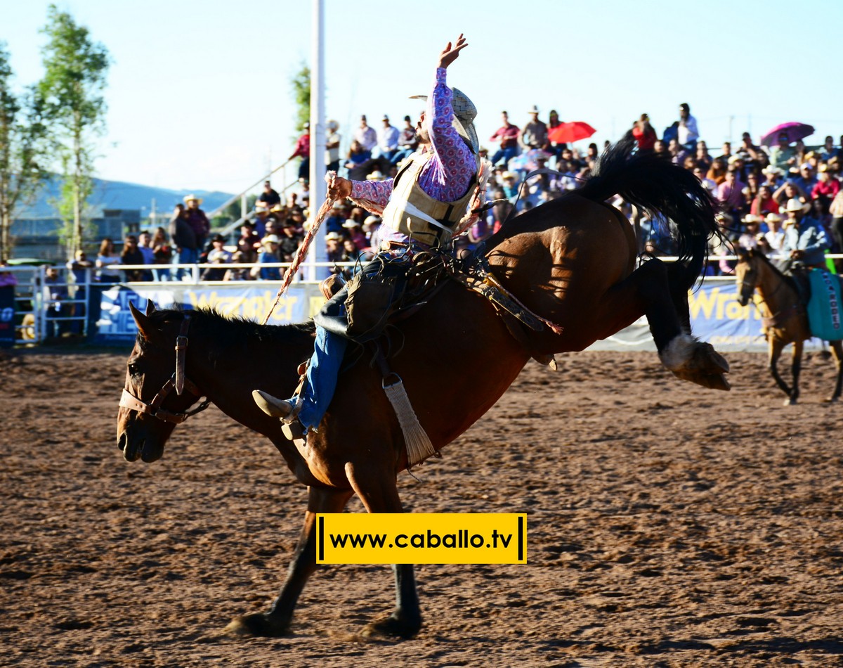 DSC_3405 copy