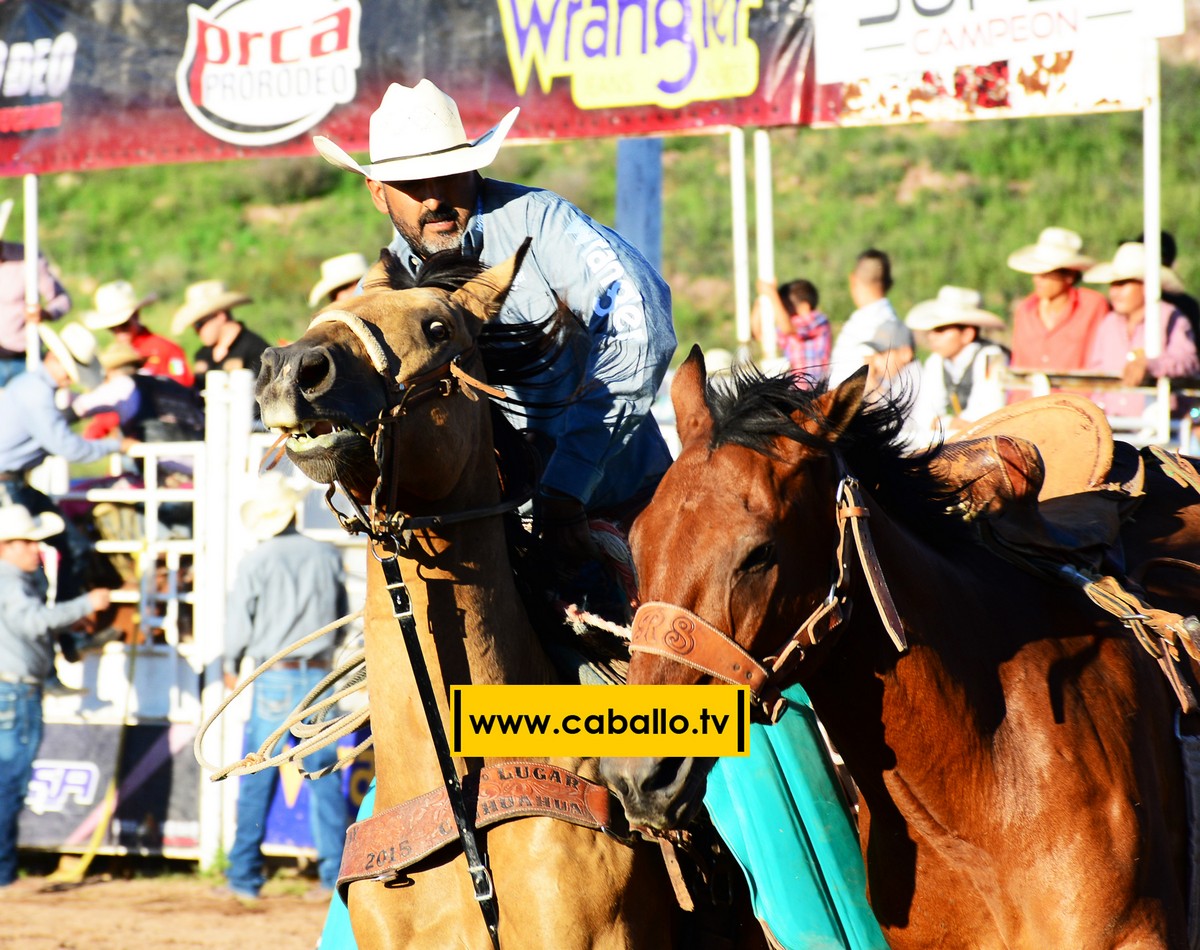 DSC_3409 copy