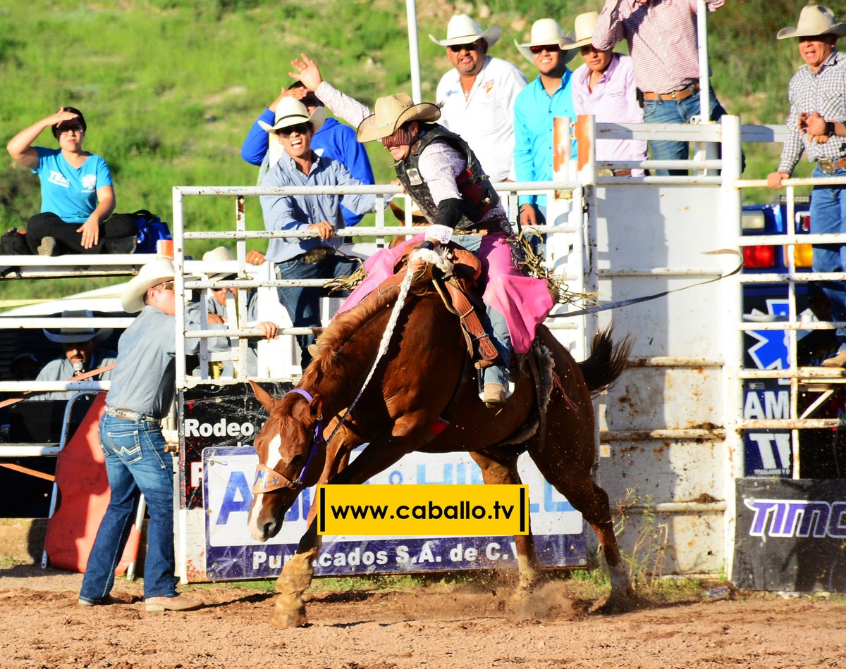 DSC_3412 copy