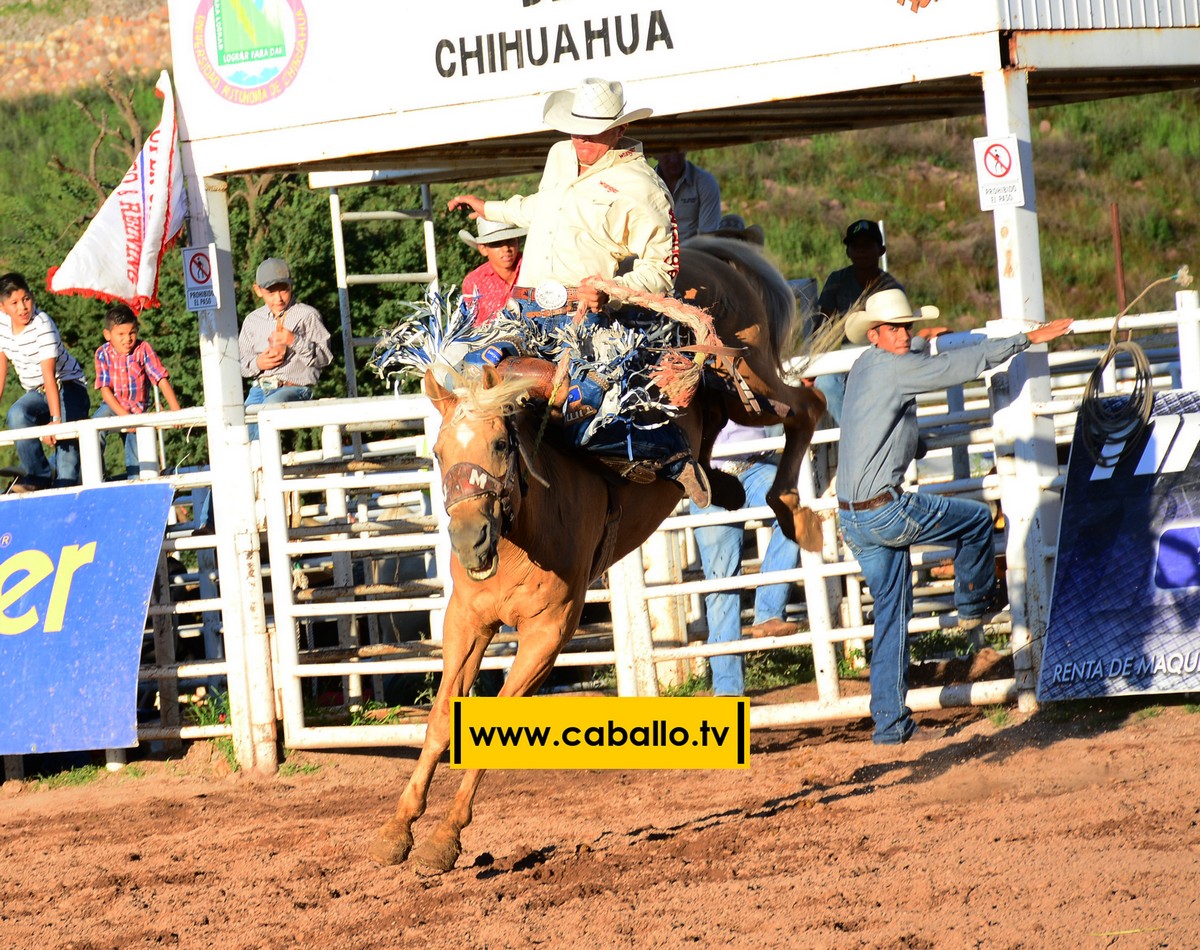DSC_3419 copy