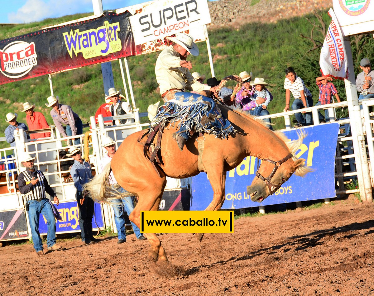 DSC_3426 copy