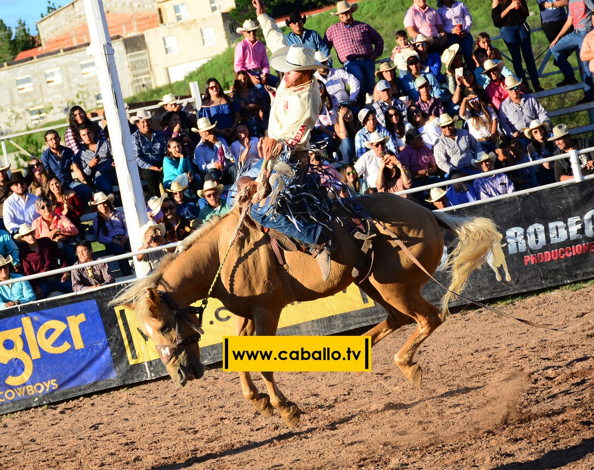 DSC_3443 copy