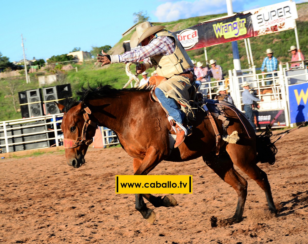 DSC_3454 copy