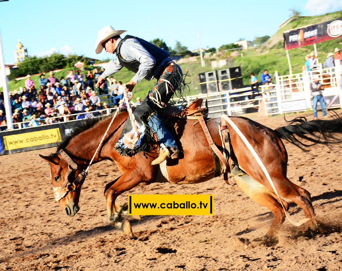 DSC_3471 copy