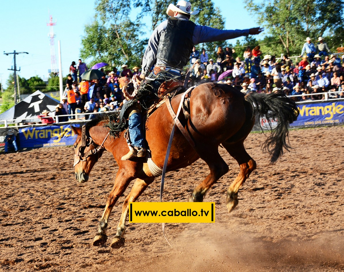 DSC_3475 copy