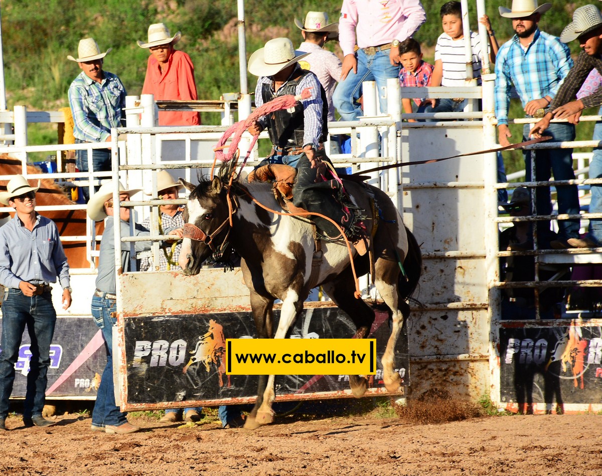 DSC_3494 copy