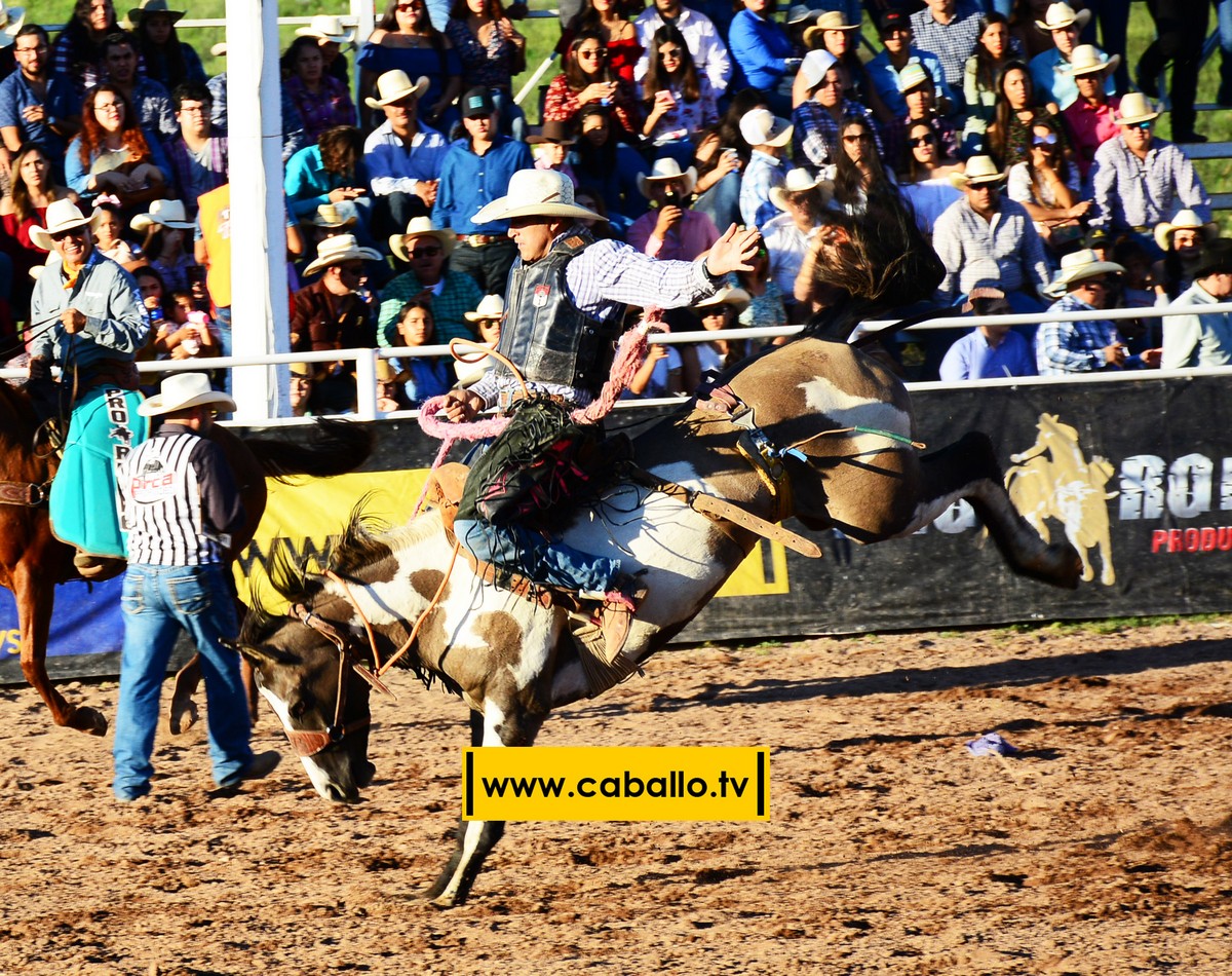DSC_3498 copy