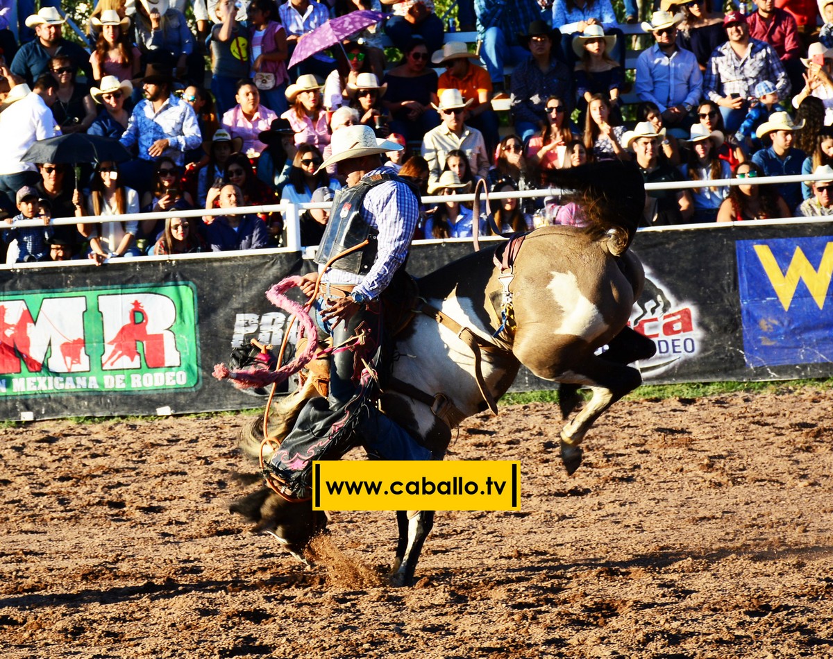 DSC_3501 copy