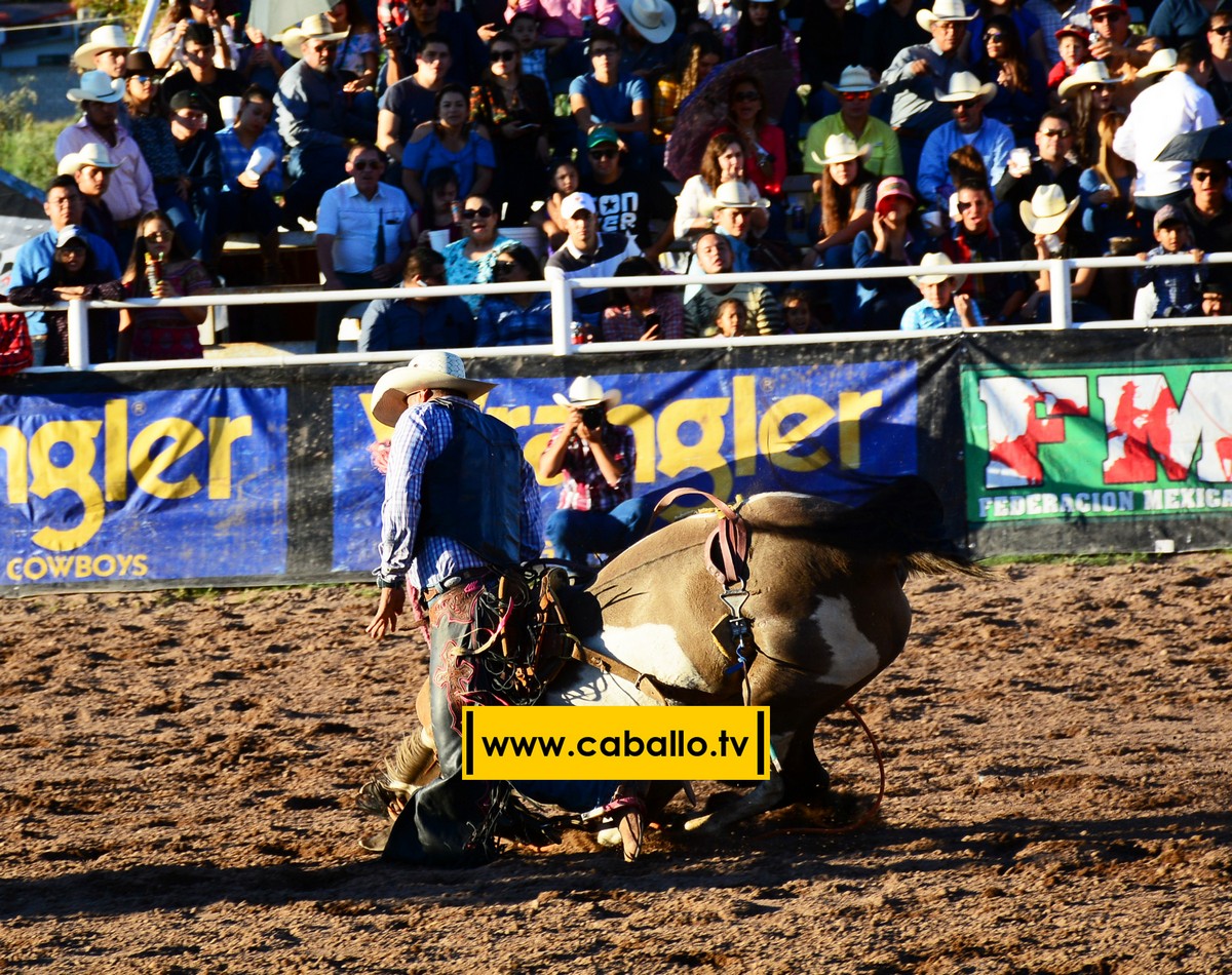 DSC_3502 copy