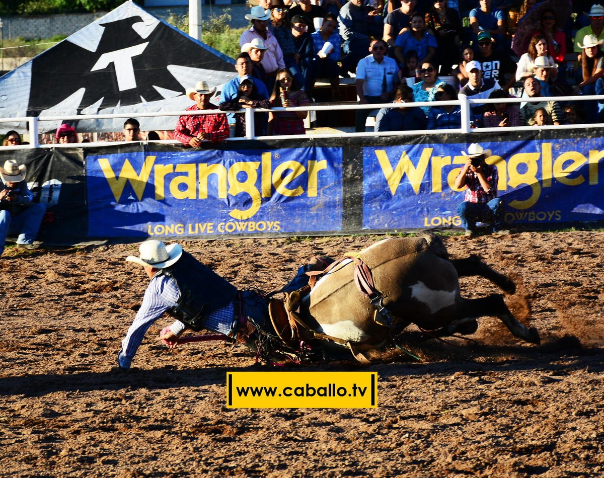 DSC_3503 copy