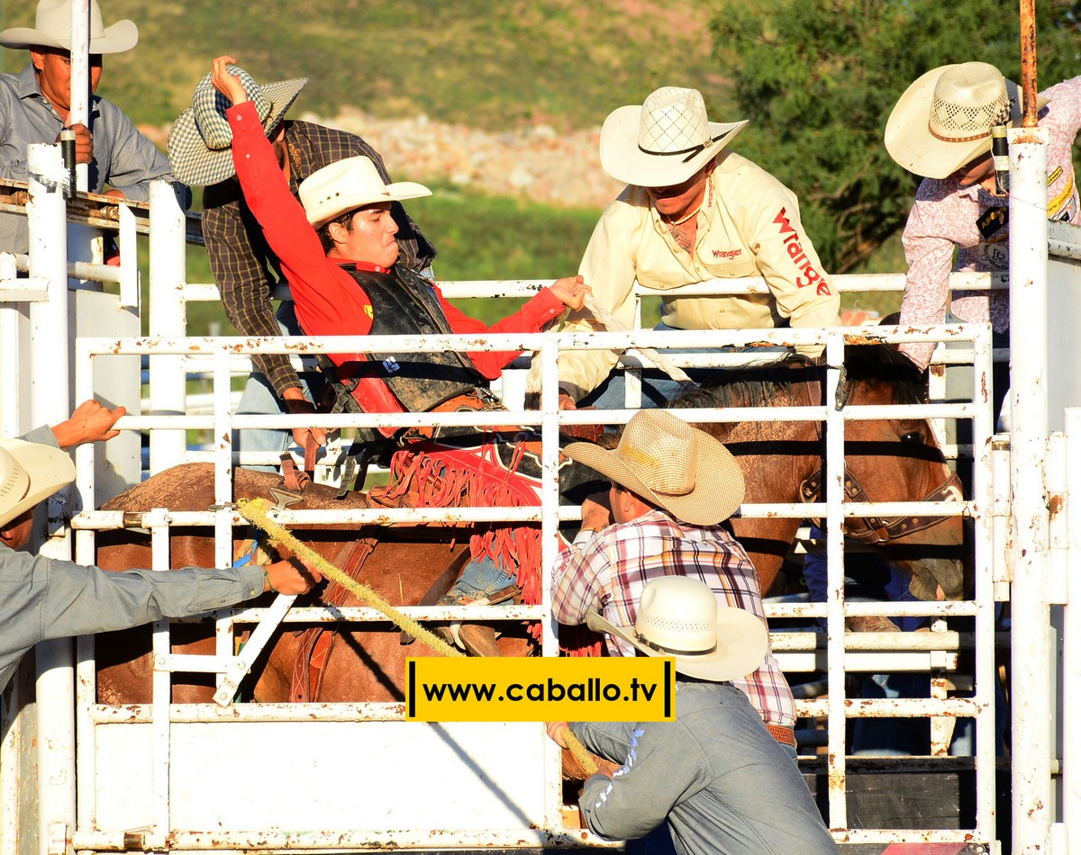 DSC_3513 copy