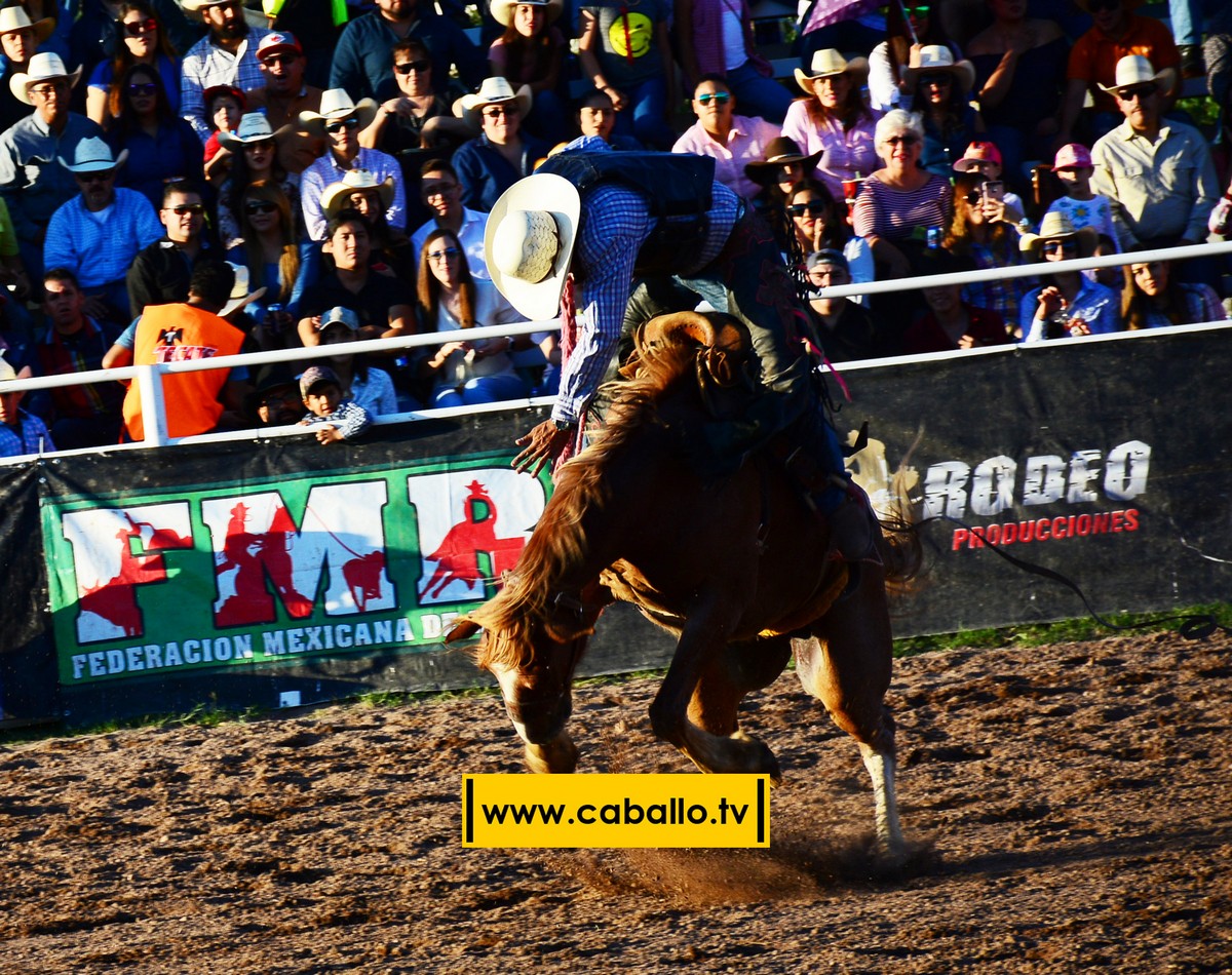 DSC_3528 copy