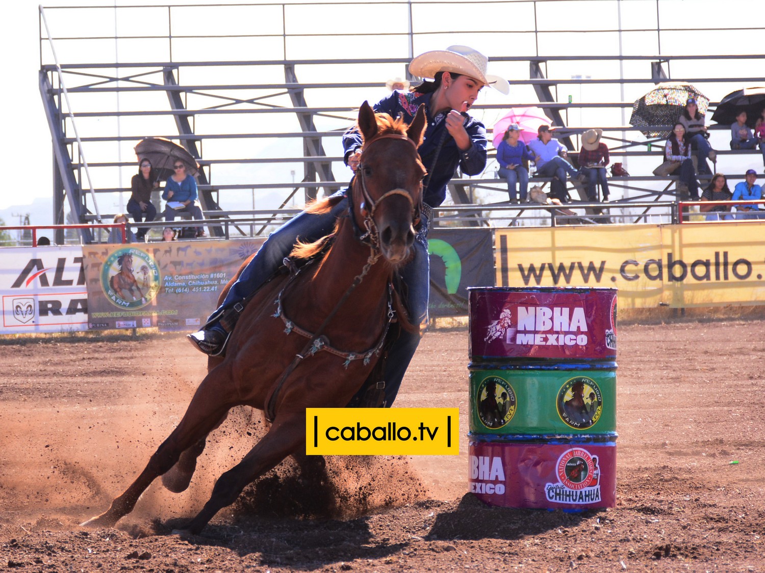 DSC_1196 copy