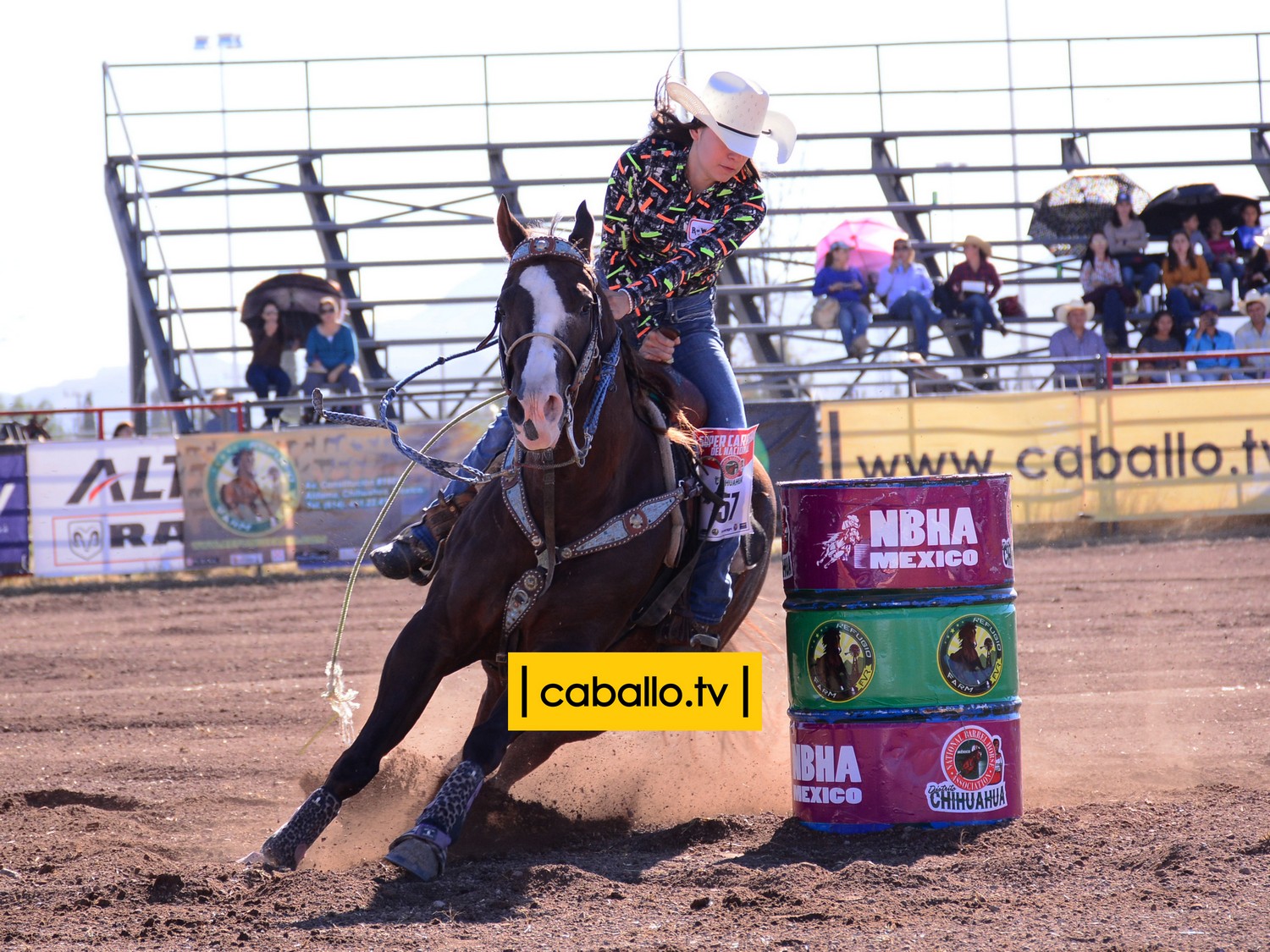 DSC_1233 copy