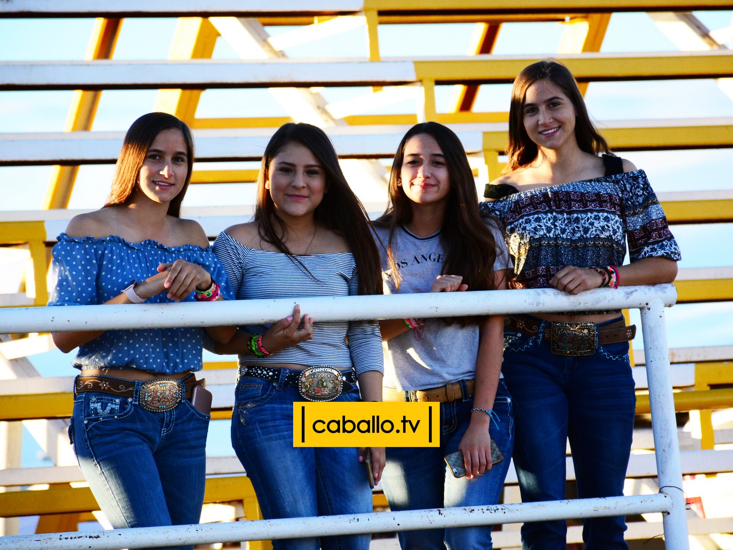 DSC_7967 copy