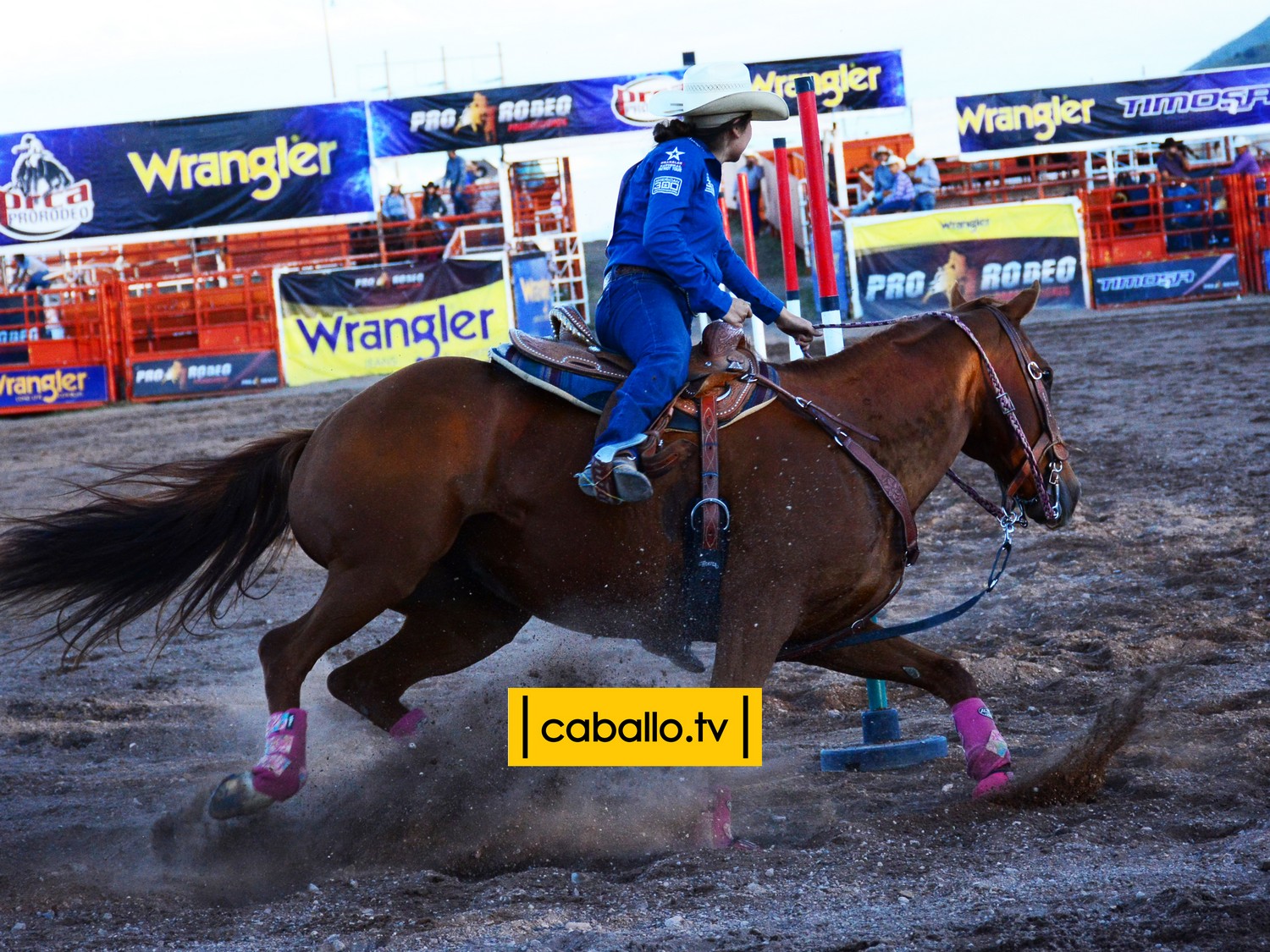 DSC_7985 copy