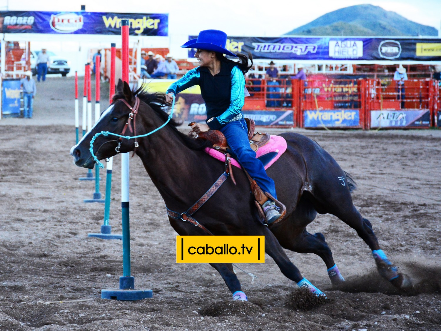 DSC_8016 copy