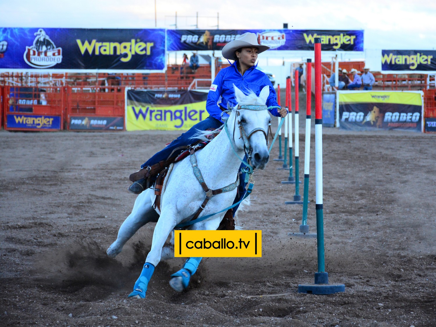 DSC_8025 copy