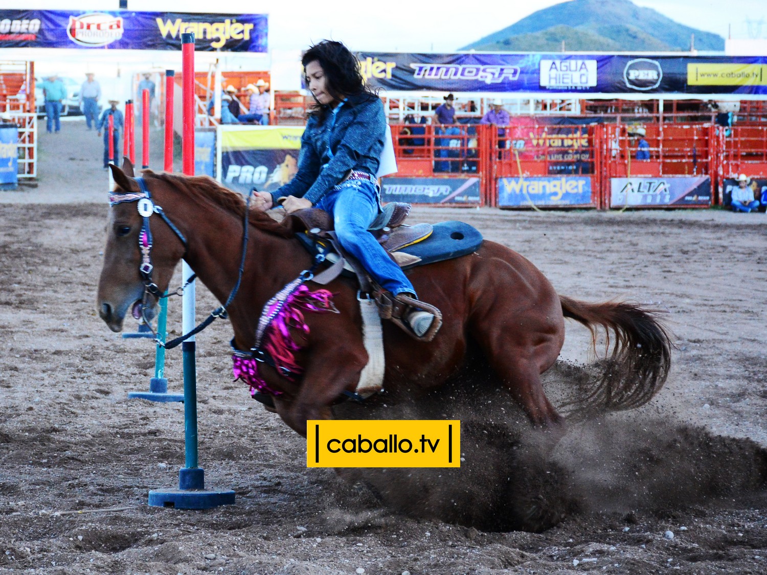 DSC_8029 copy