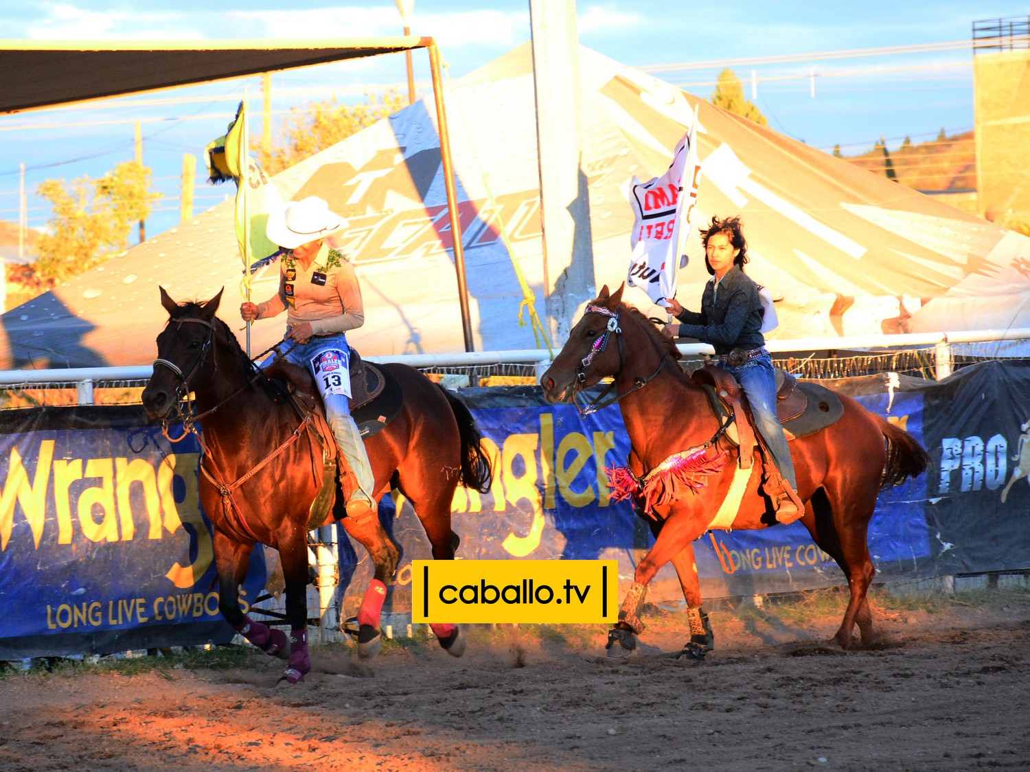 DSC_8036 copy