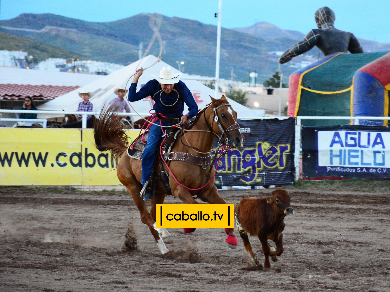DSC_8065 copy