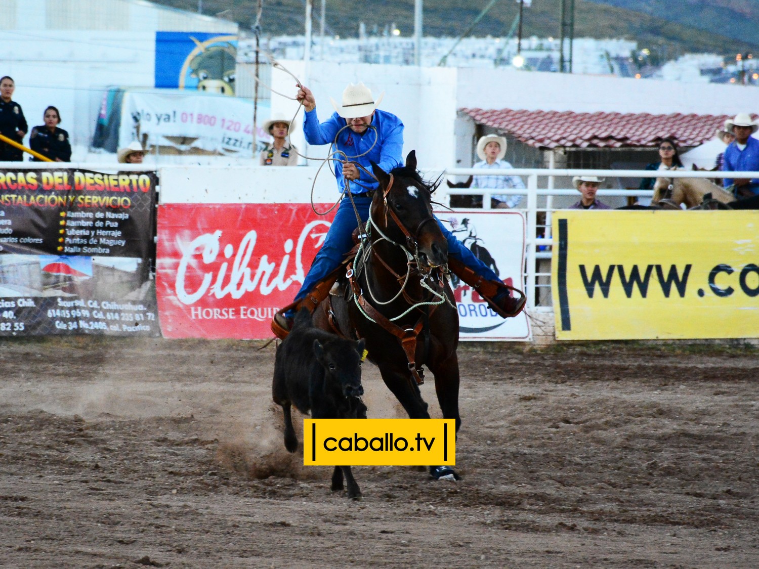 DSC_8068 copy