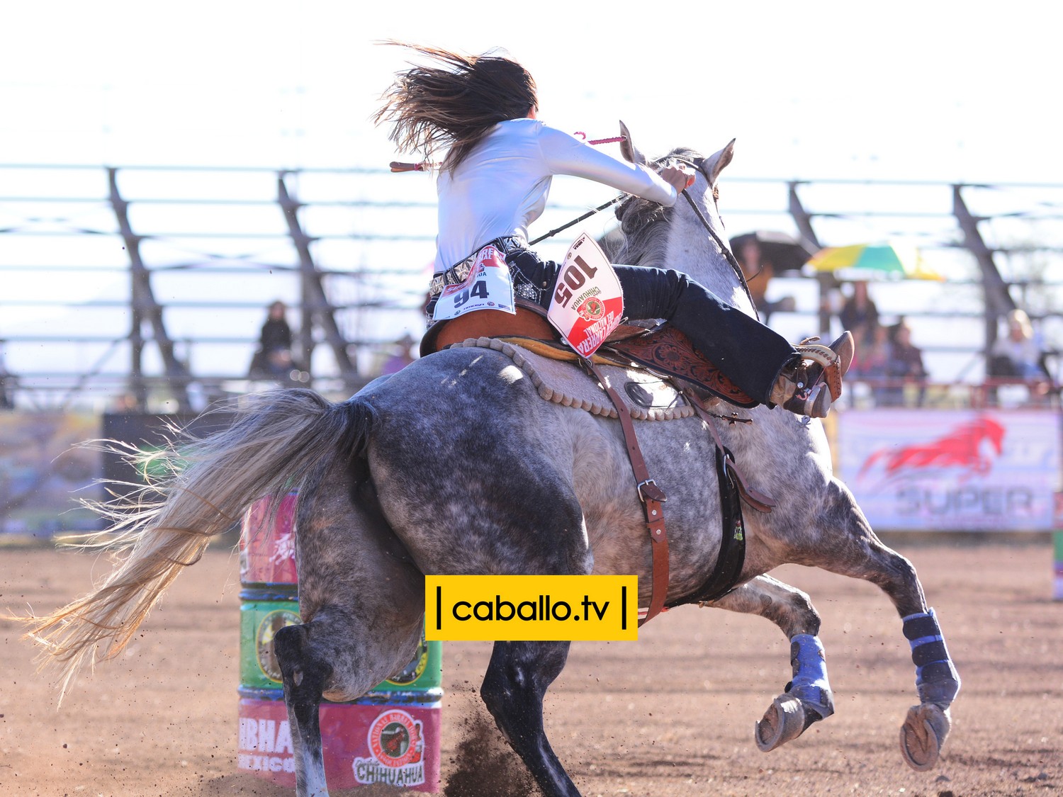 DSC_1479 copy
