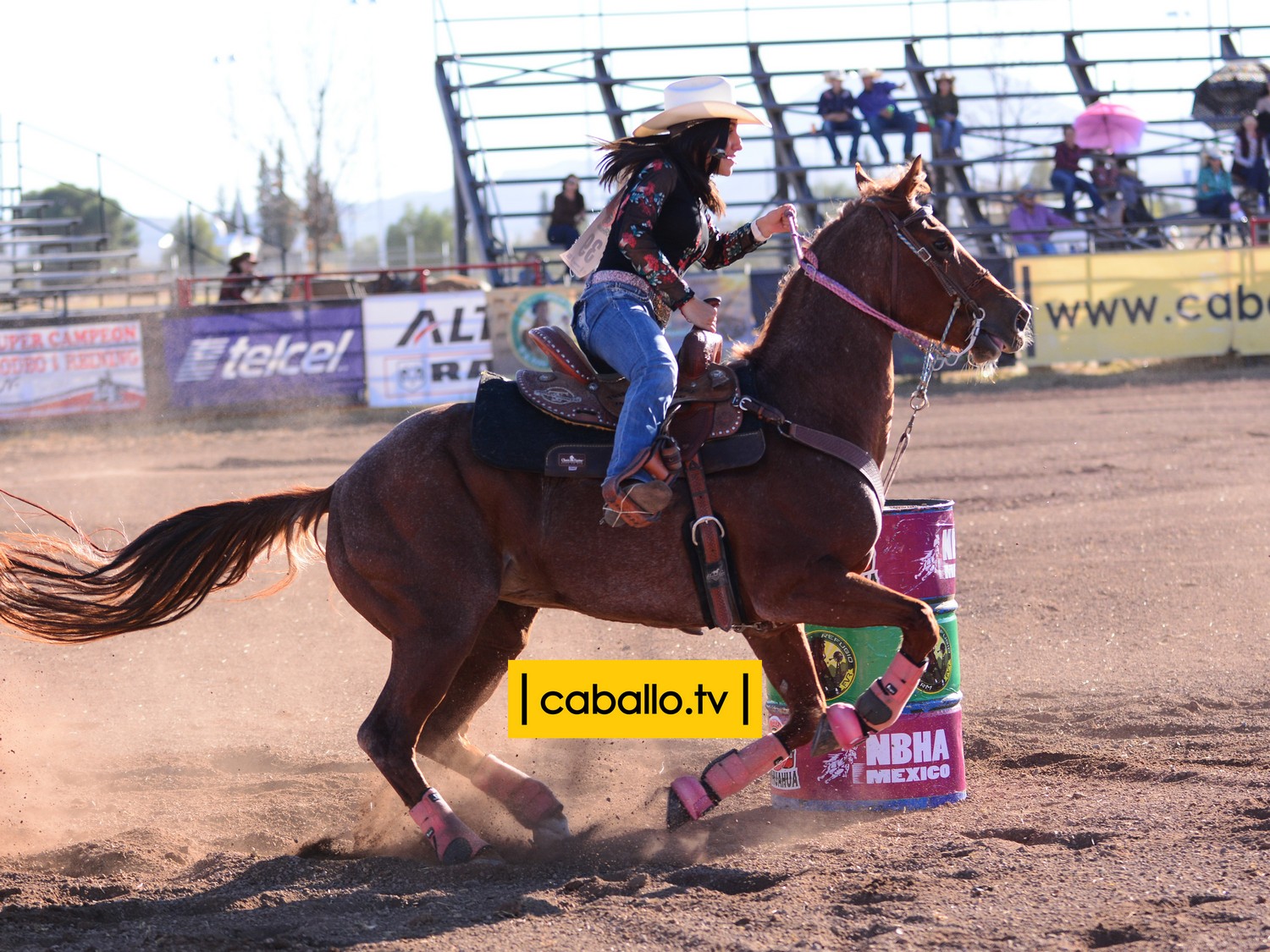 DSC_1565 copy
