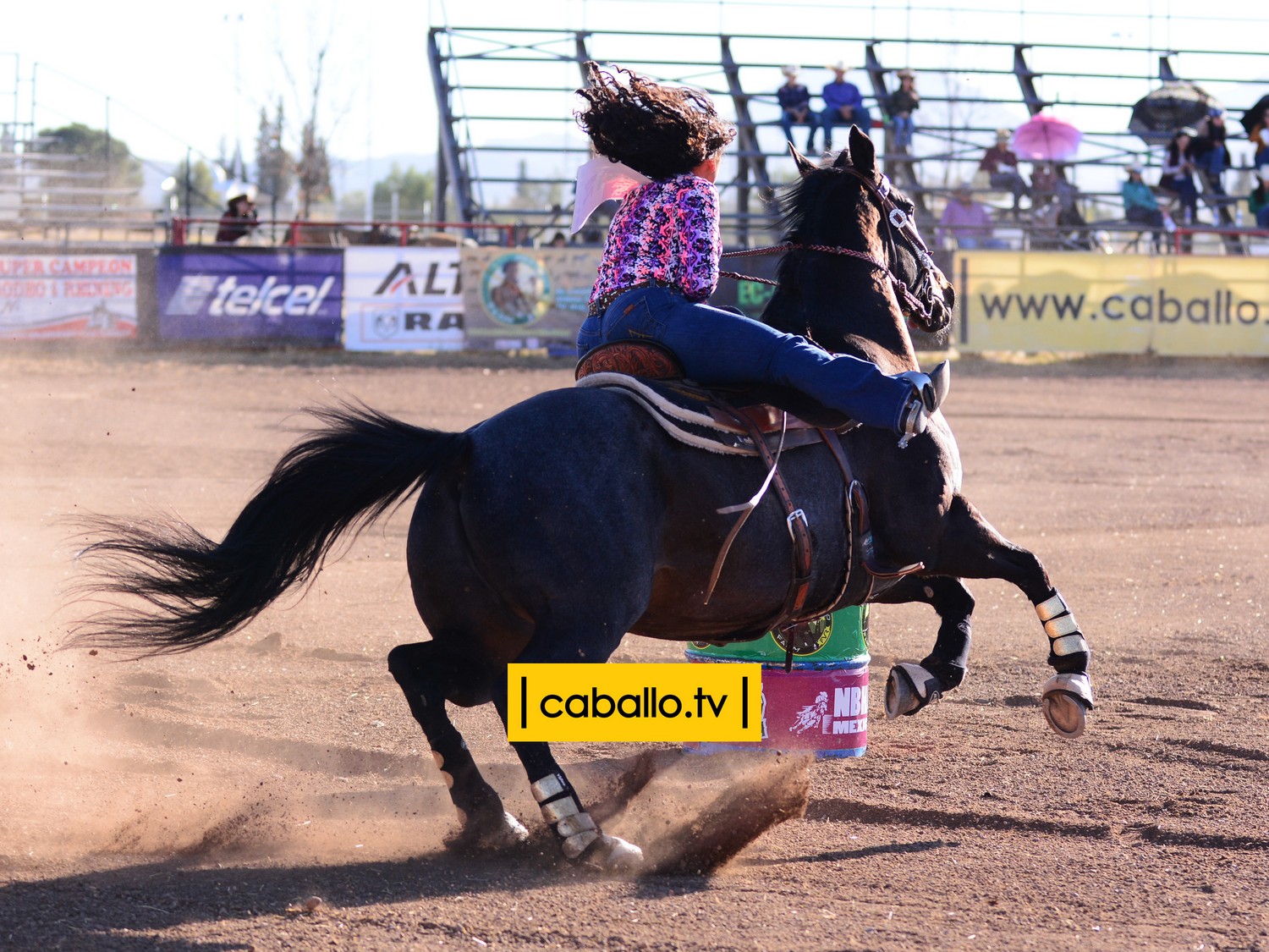 DSC_1600 copy