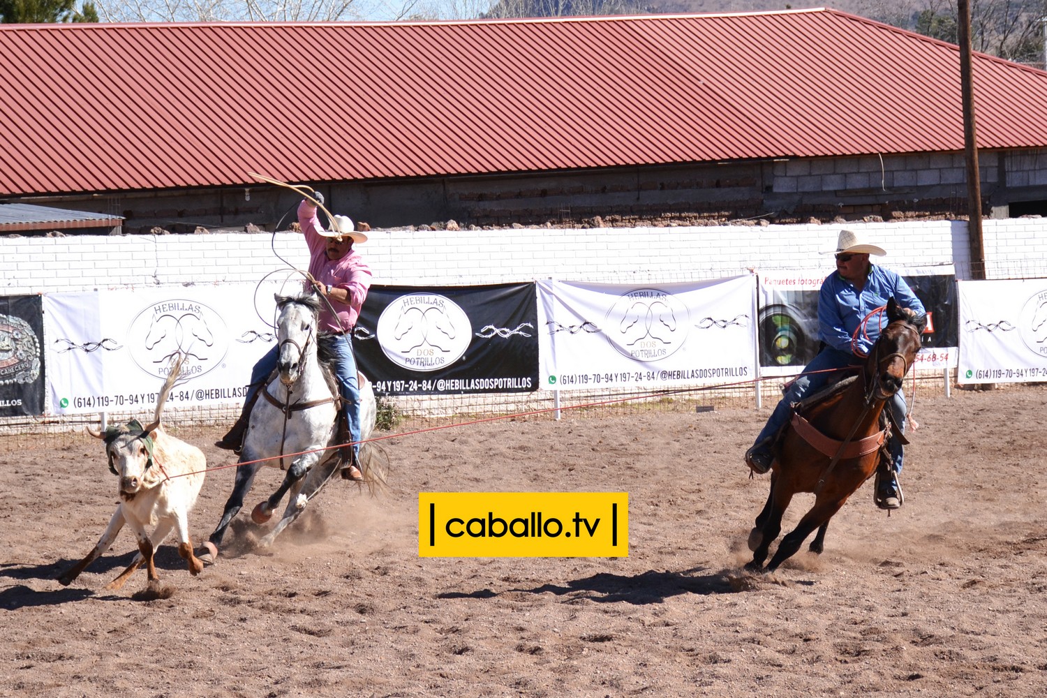 DSC_0626 copy