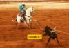 La Regina Team Roping series, Lazada 1 – Parte 5
