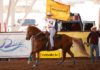 Finales de Circuito 2018 NBHA México distrito Chihuahua Arena Timosa – Parte 2