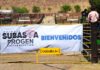Primera Subasta digital Progen Cattle Genetics Agrarium Technologies, Chihuahua 27 abril 2019