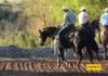 Acciones en la Lazada del Dinero, Arena La Escondida en Chihuahua