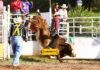Rodeo de Zootecnia PRCA FMR 2019. Promotora de Rodeos – Parte 2