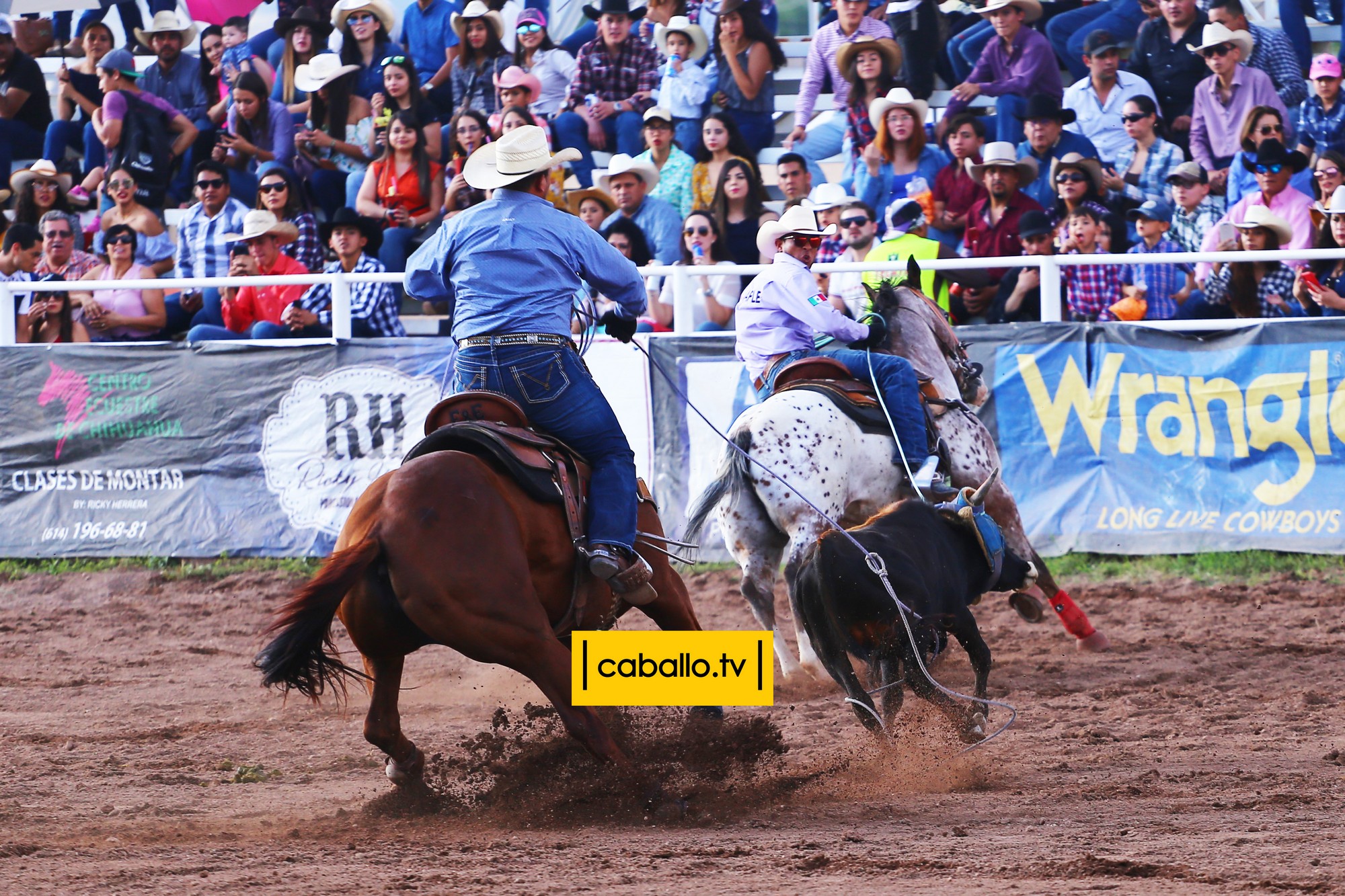 IMG_0505 copy