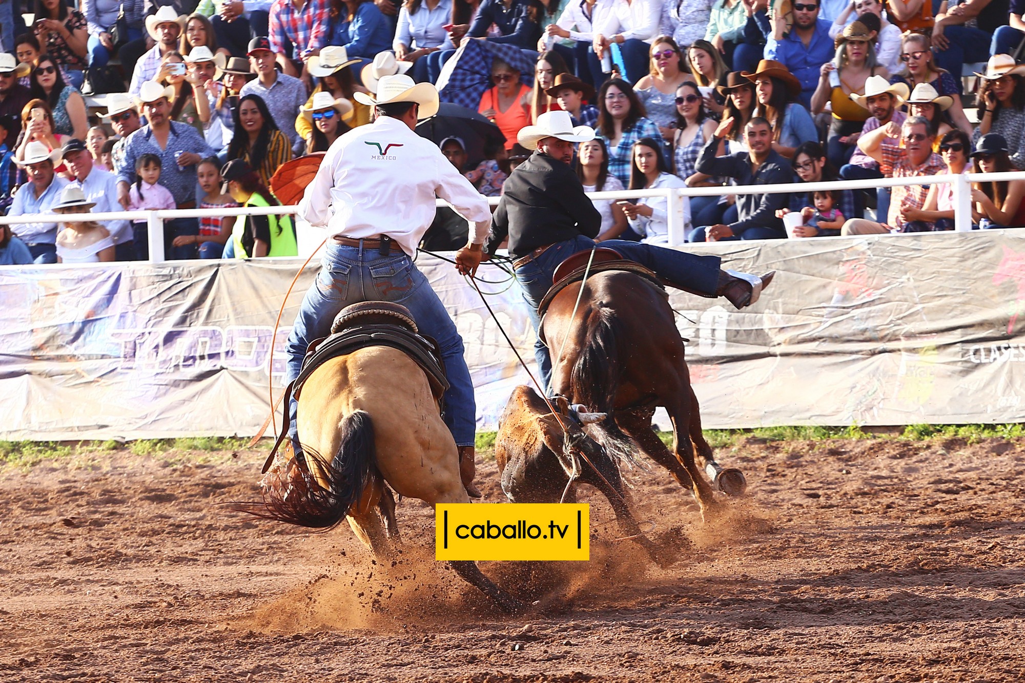 IMG_0517 copy