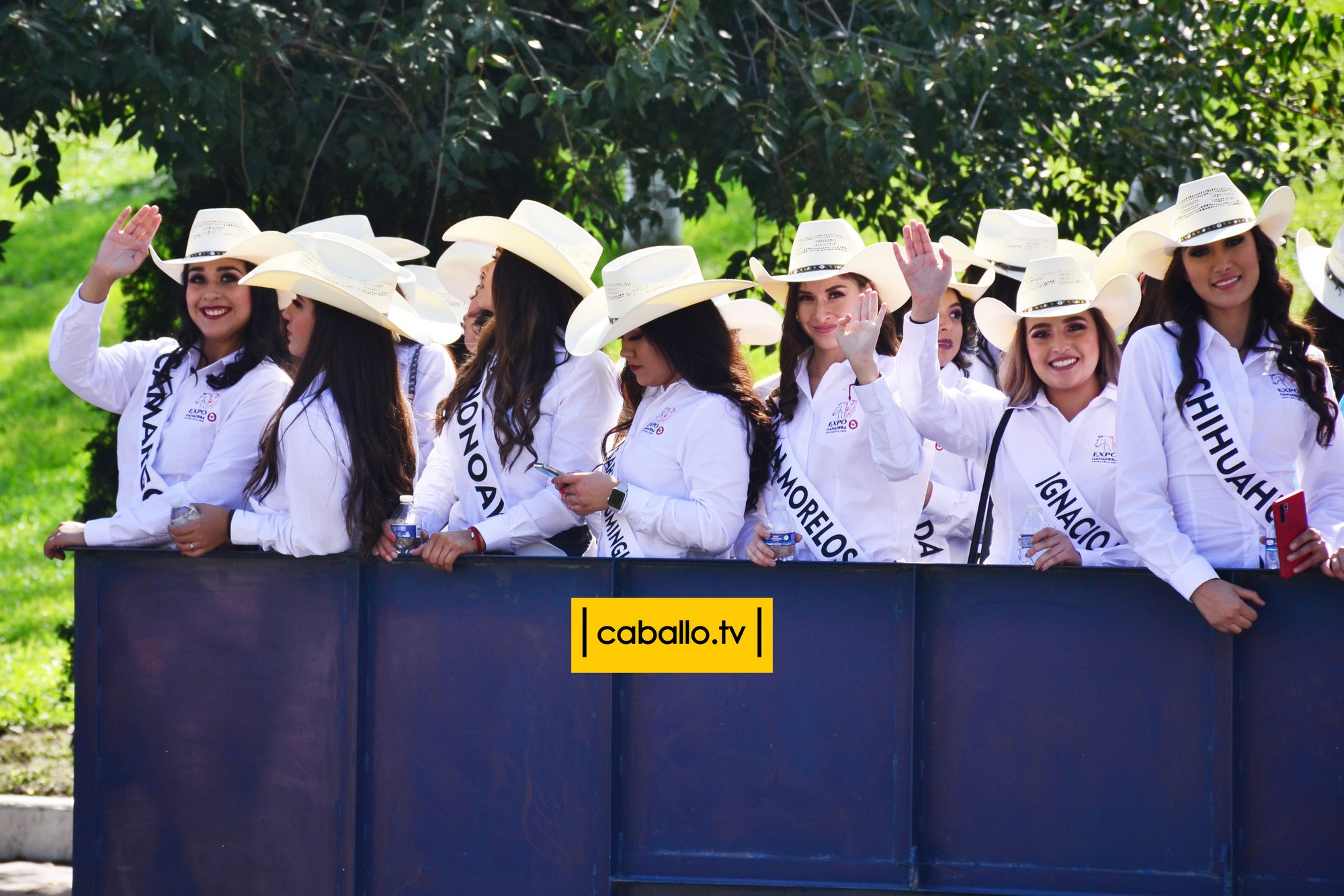 DSC_0227 copy