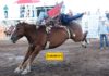Las acciones en el Rodeo de Cd. Camargo Chihuahua 2019. Promotora de Rodeos – Parte 6