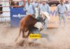 Las acciones en el Rodeo de Cd. Camargo Chihuahua 2019. Promotora de Rodeos – Parte 7