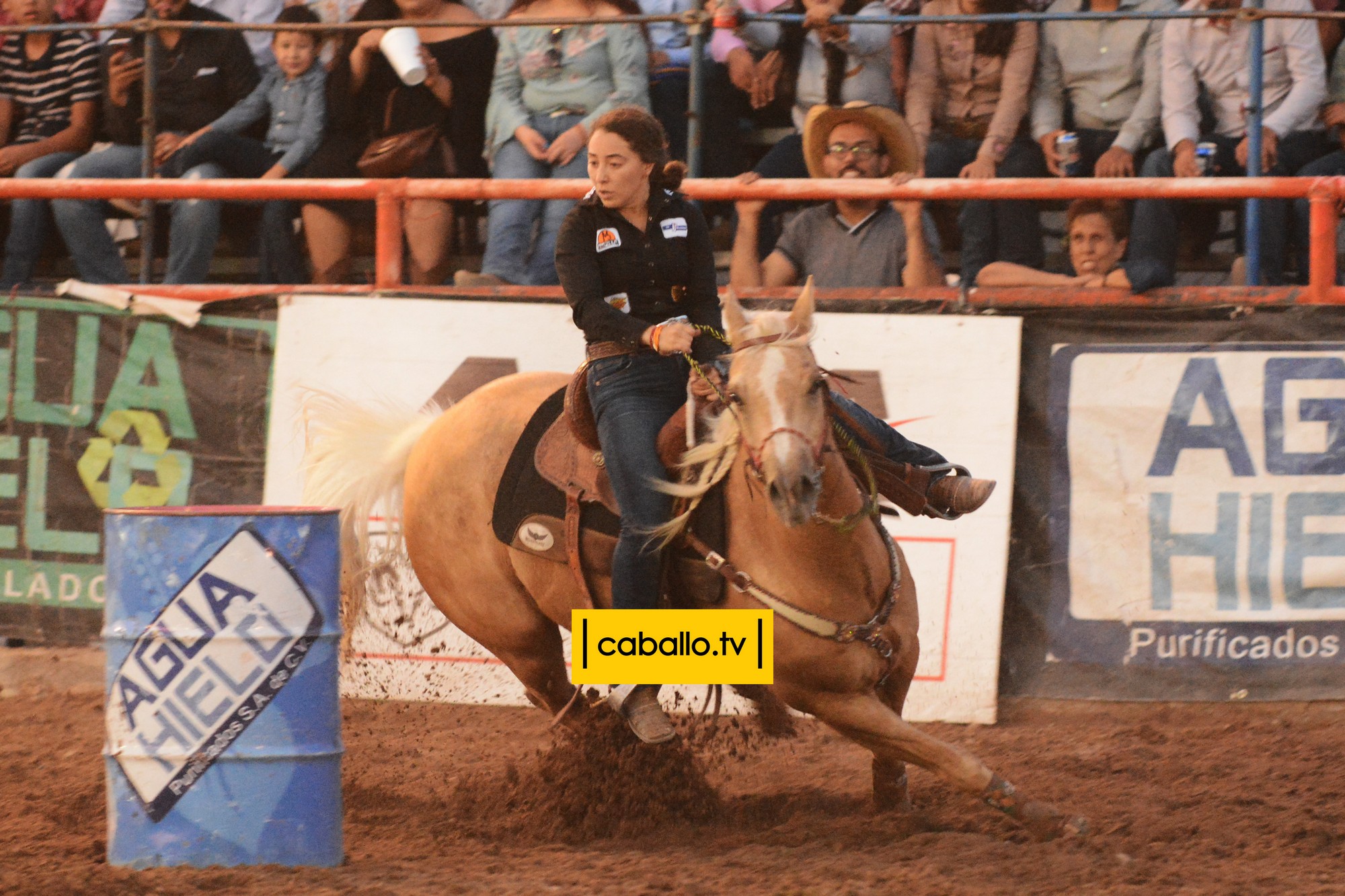 DSC_3334 copy