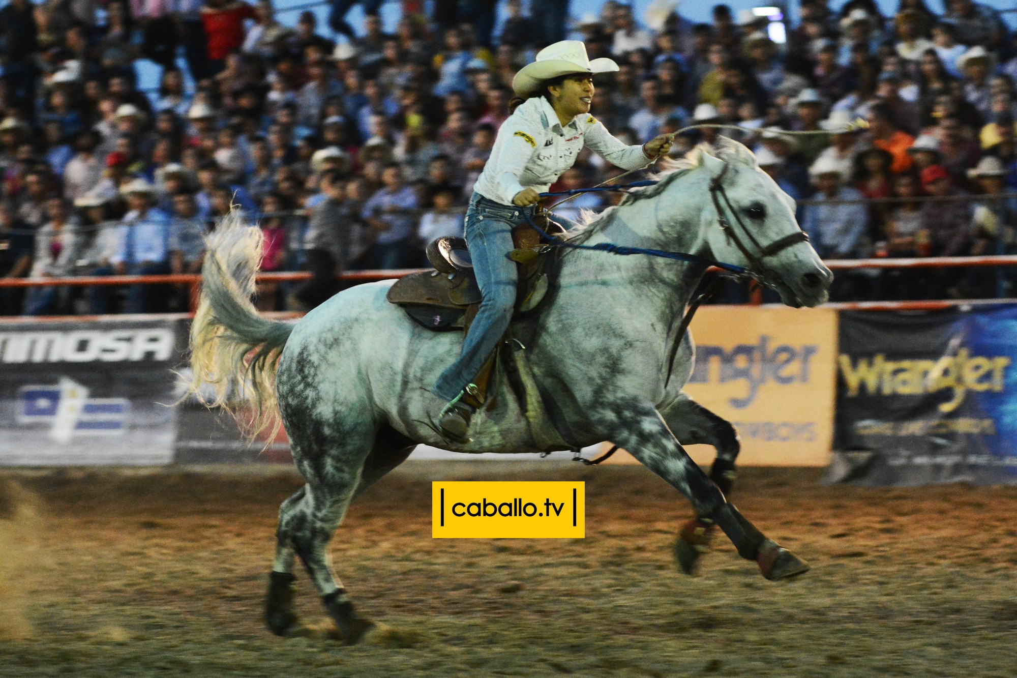 DSC_3367 copy