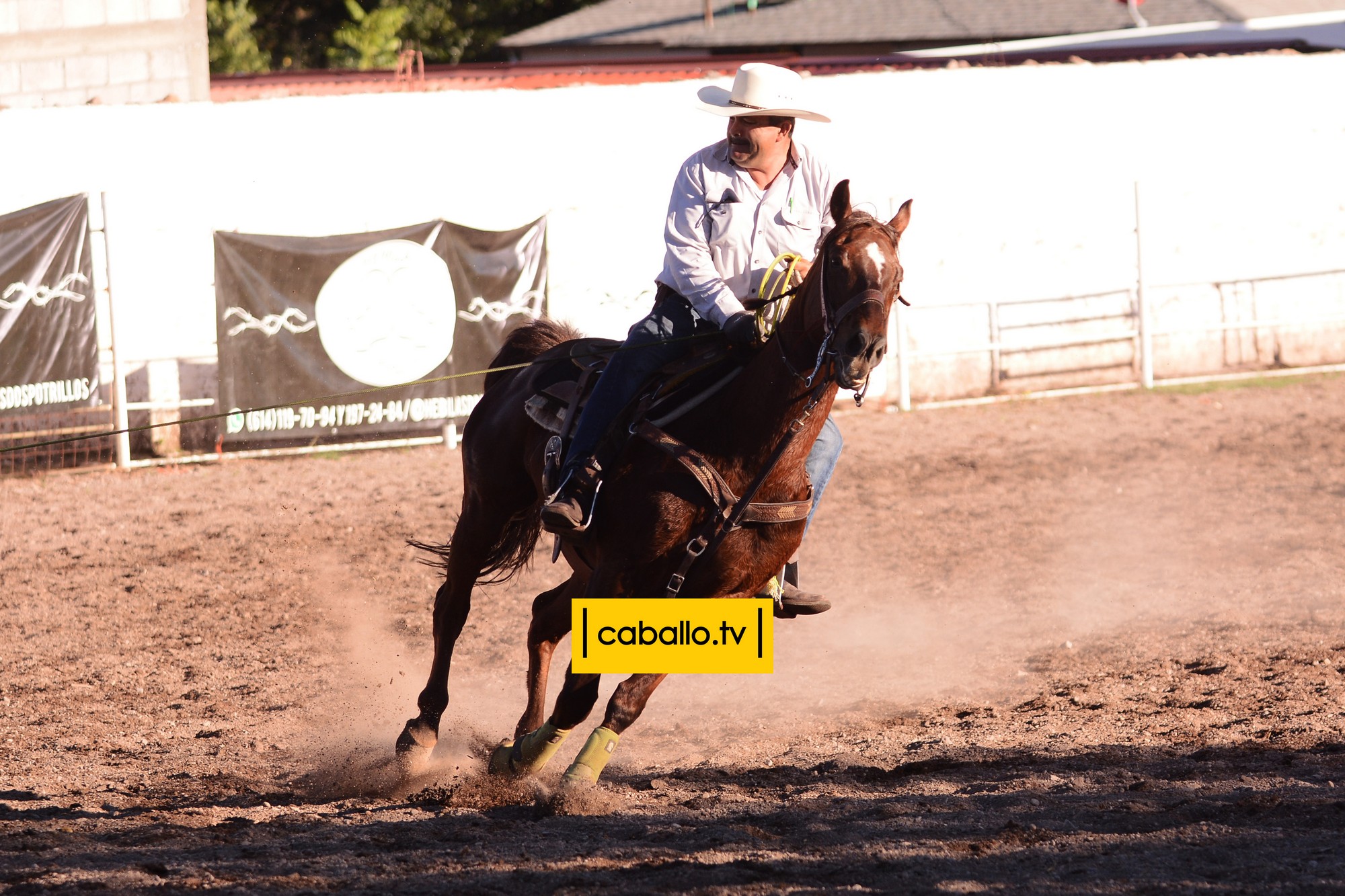 DSC_6260 copy