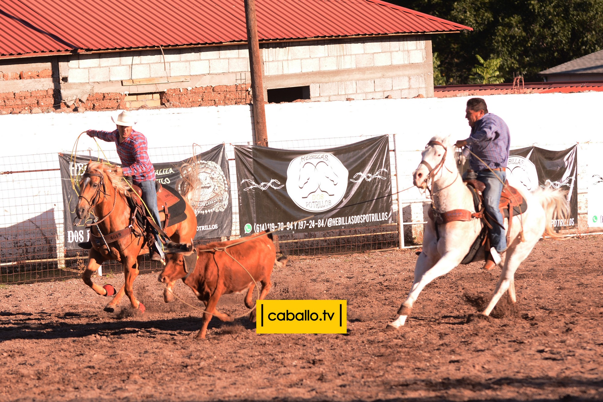 DSC_6270 copy
