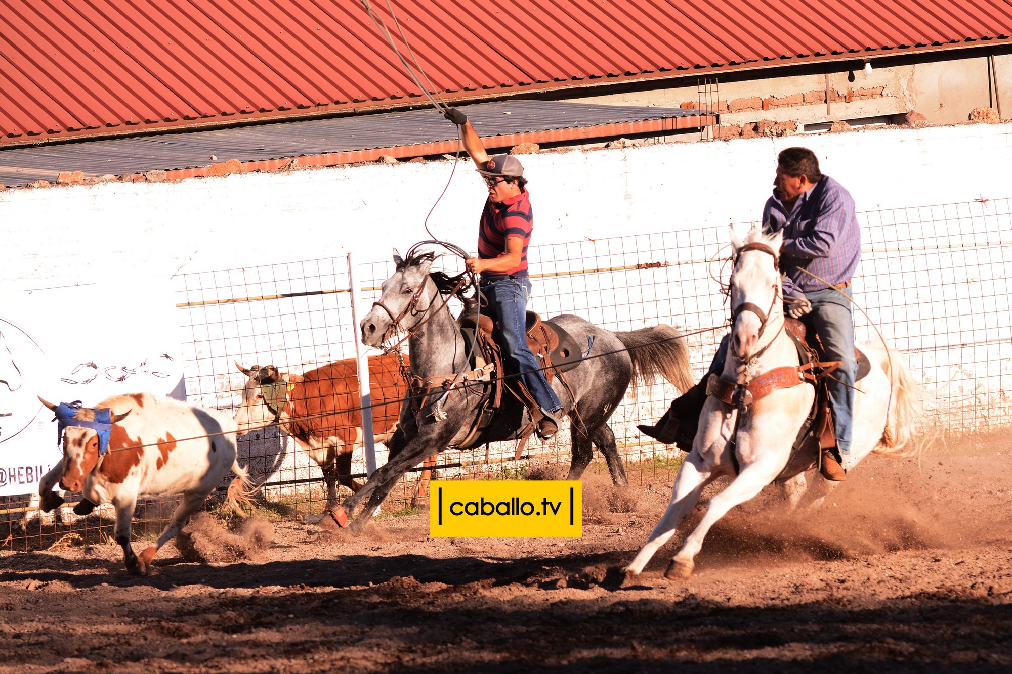 DSC_6307 copy