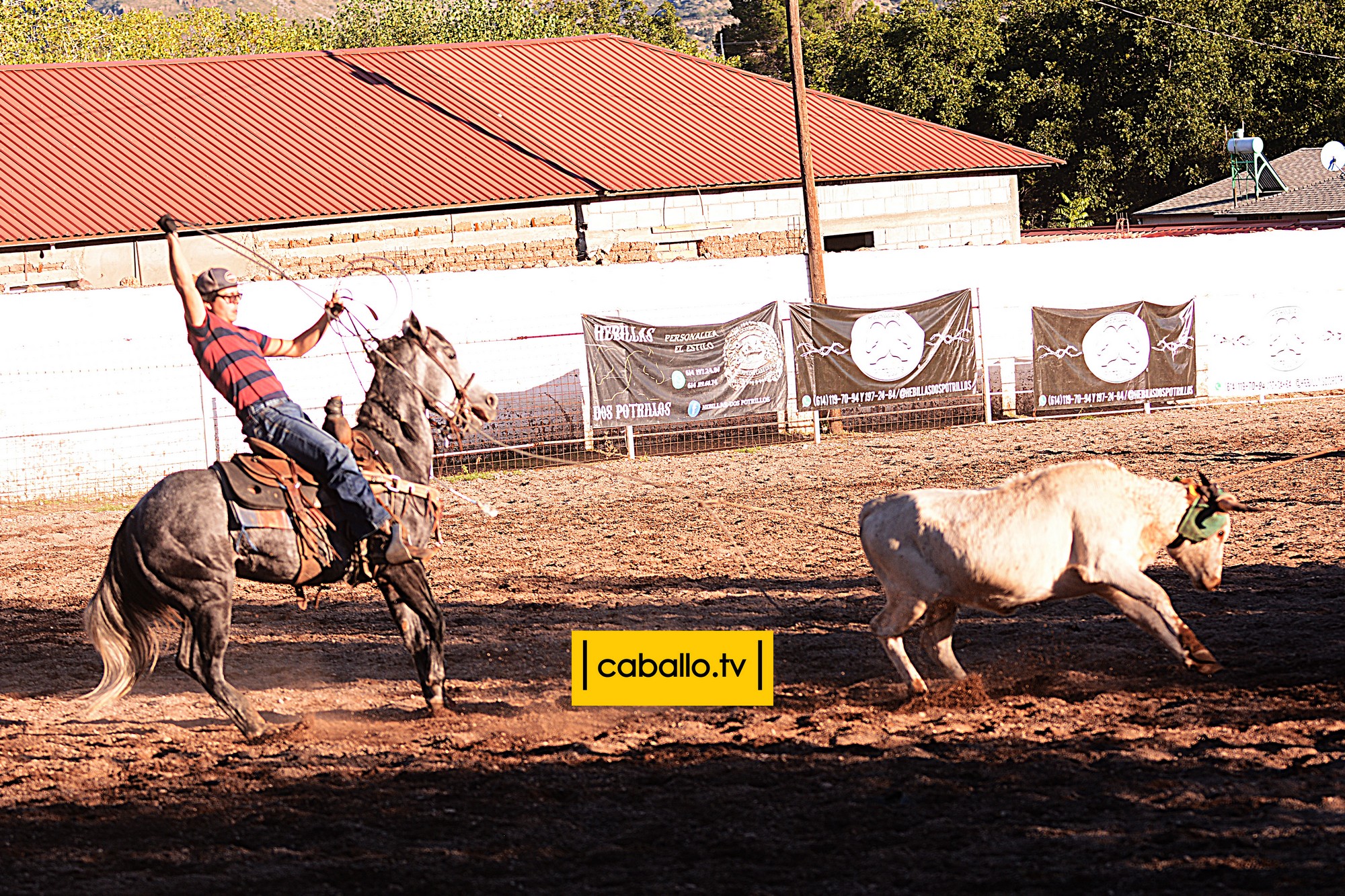 DSC_6348 copy