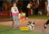 7a Expocanina ALCODESA. Chihuahua, Chih – Parte 3